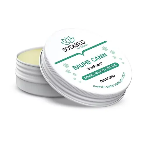Baume CBD pour Chien