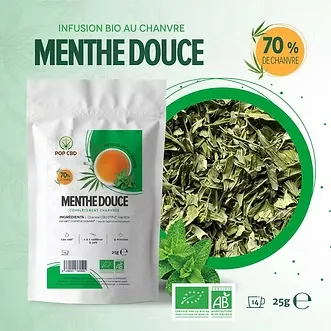 INFUSION BIO MENTHE DOUCE 25G