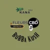 Bubba Kush CBD