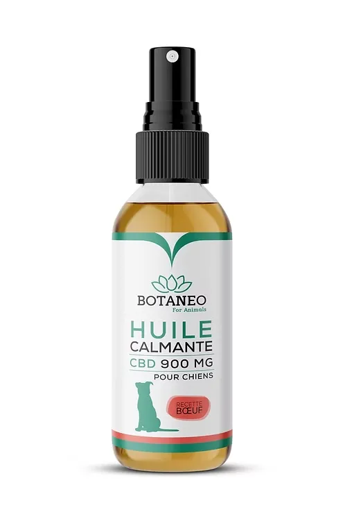 Spray CBD pour Chien – BOTACALM™ saveur Boeuf