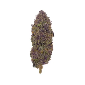Cherry bzh