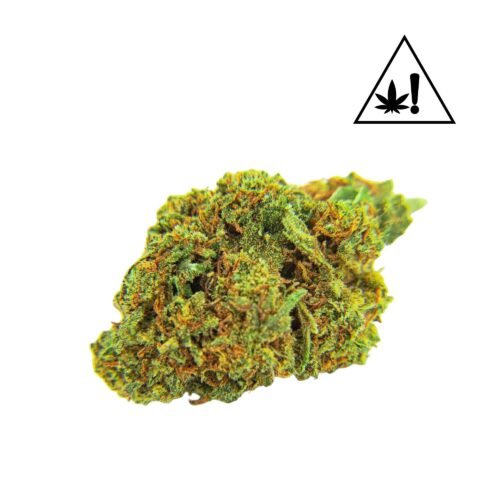 dc10 gifi fleur cbd Gifi