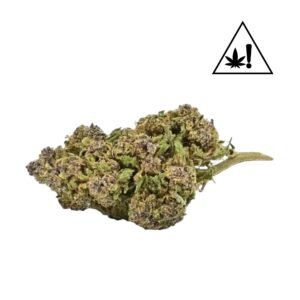 Jungle Cake