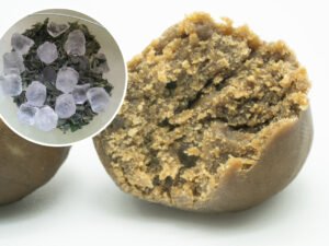 Ice-O-Lator : qu’est-ce que le Bubble Hash obtenu par extraction à froid ?