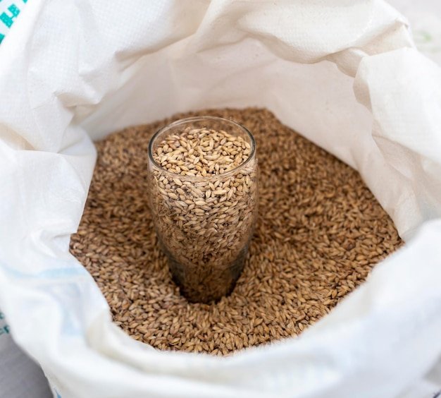 Sac de malt d’orge et verre doseur pour le brassage de la bière