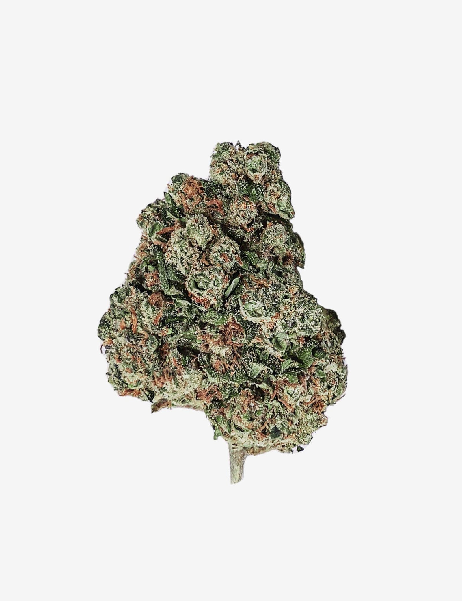 Fleur de CBD White Widow sans THC