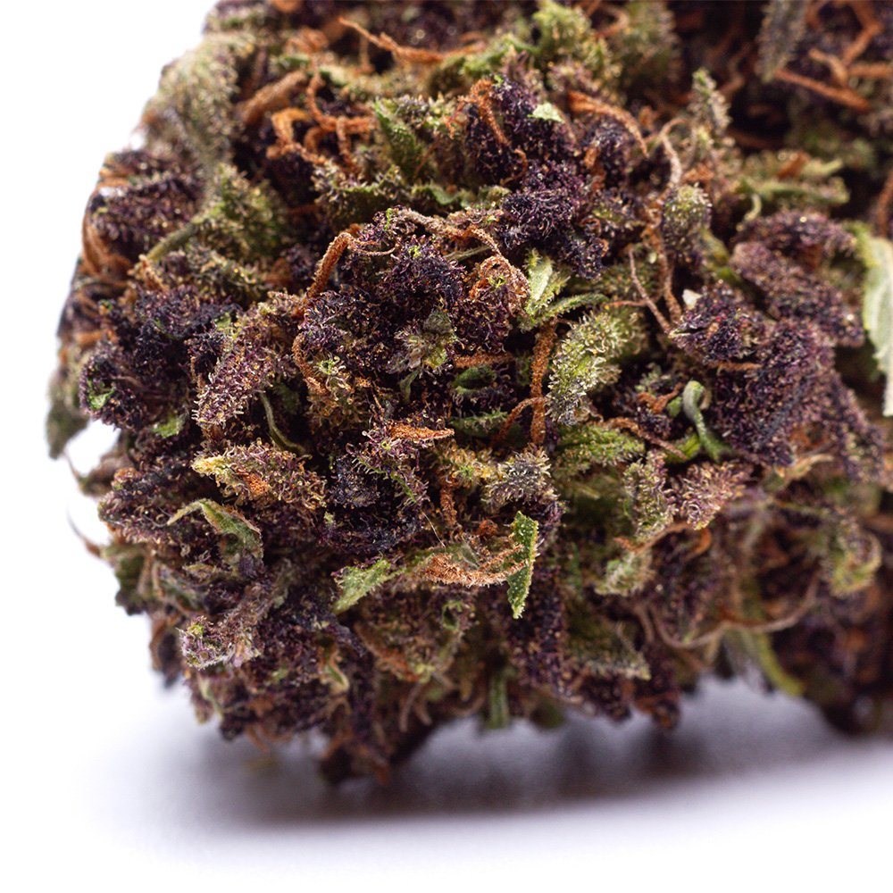 FLEURS CBD BZH
