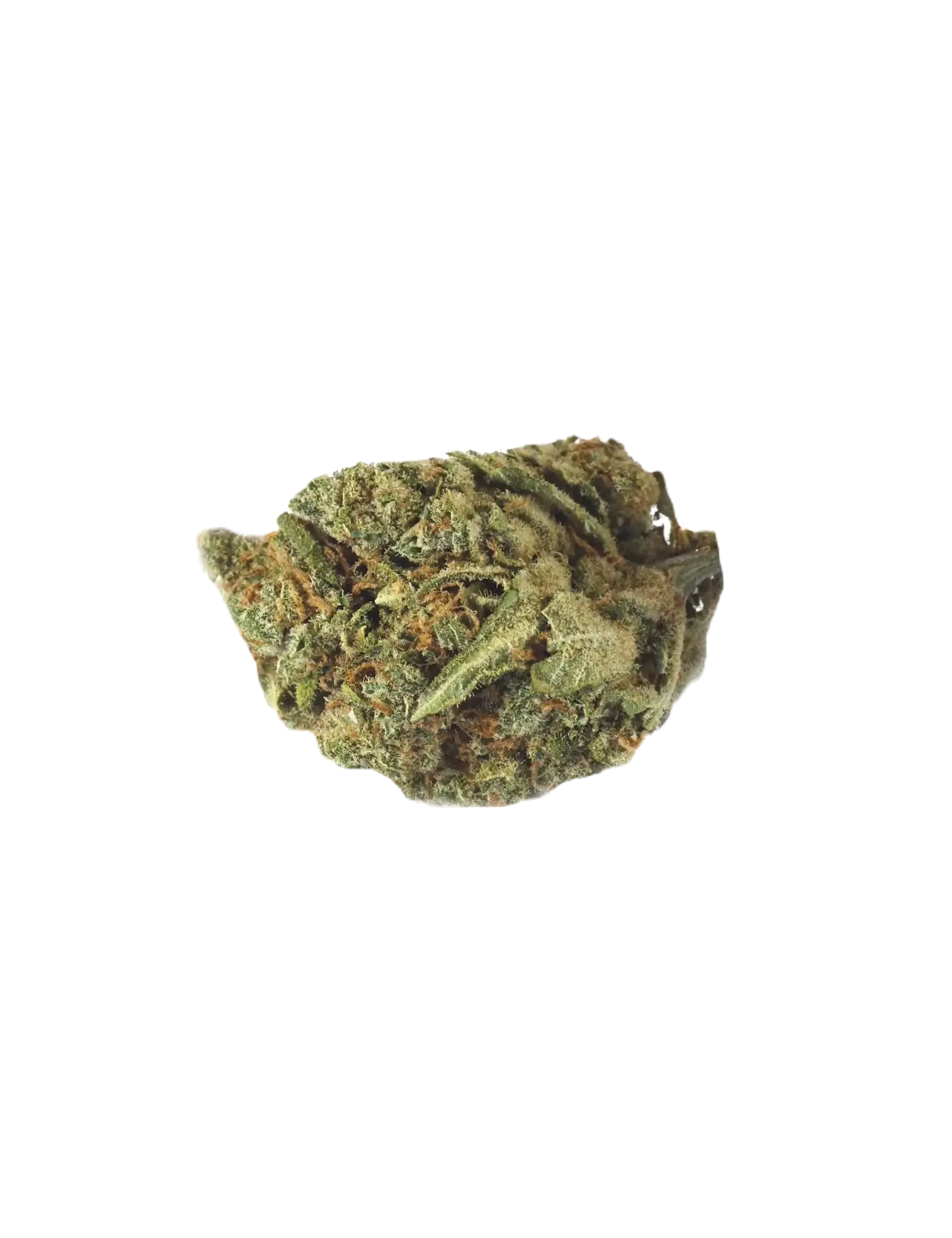 Fleur cbd de bonne qualité