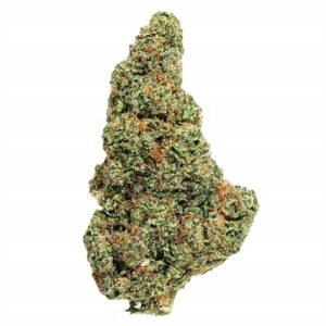 Plutonium