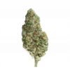 Fleur CBD Amnesia, indoor — photo du produit