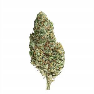 Fleur CBD Amnesia, indoor — photo du produit