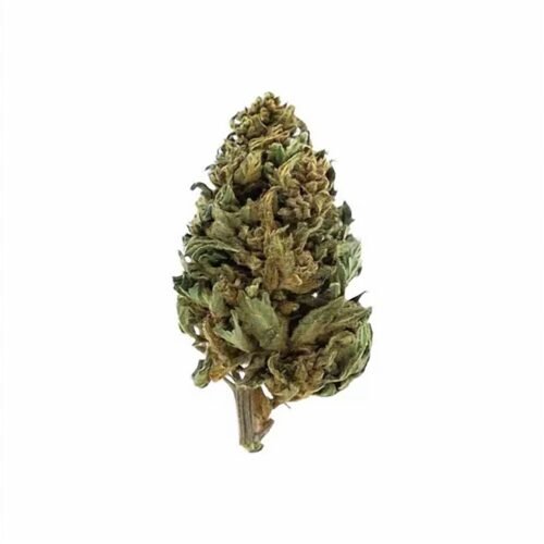 hdc-hd-1129 Fleur CBD Strawberry, outdoor — photo du produit