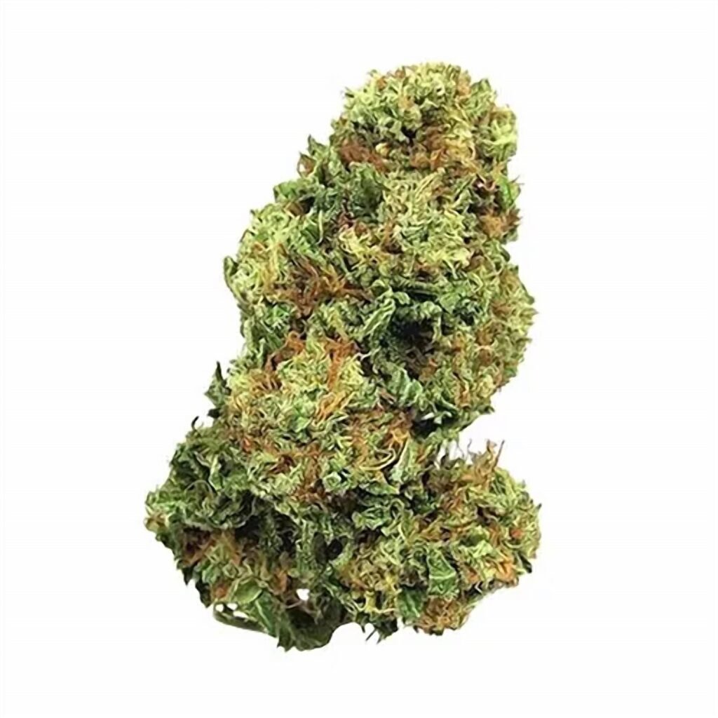 Jack herrer