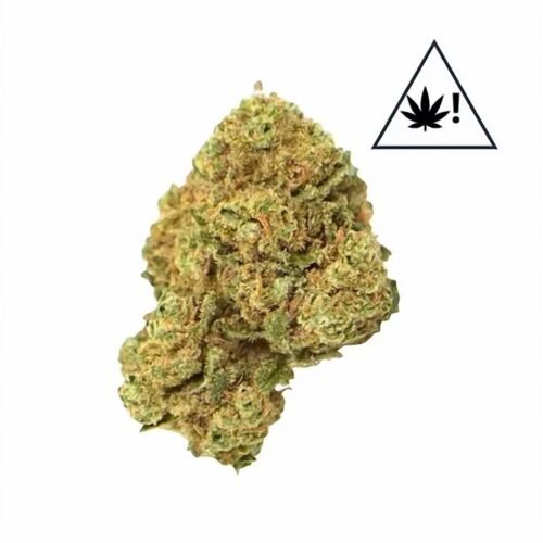 Fleur CBD Amnesia US, augmentée — photo du produit