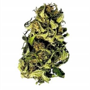 Fleur CBD Kush BZH bio, outdoor — photo du produit