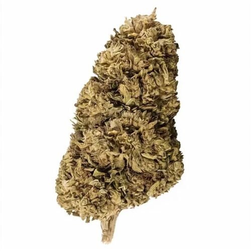 hdc-hd-1687 Fleur CBD Gelato BZH, outdoor — photo du produit