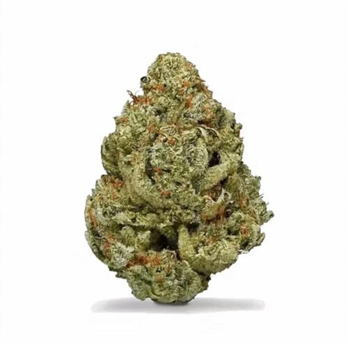 Fleur CBD Malabar, indoor — photo du produit
