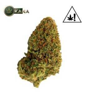 Amnesia BZBoost